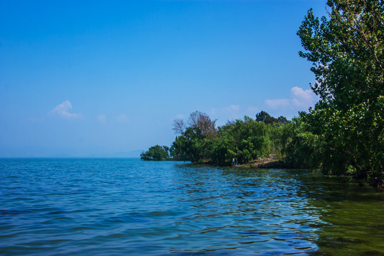 云南滇池湿地