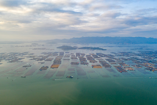 霞浦鱼排