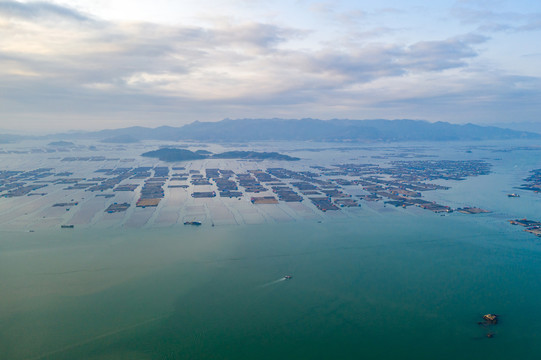 霞浦鱼排