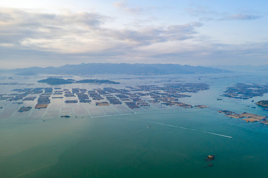 霞浦鱼排