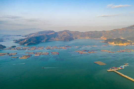 霞浦鱼排