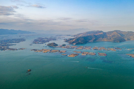 霞浦鱼排