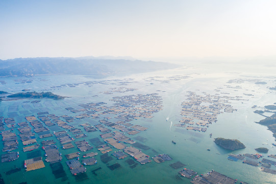 霞浦鱼排