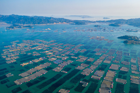 霞浦鱼排