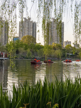 兴庆公园划船