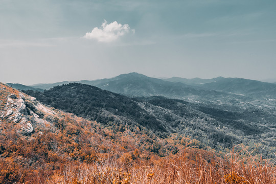 大山