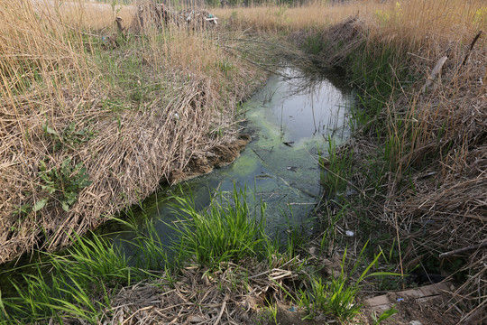 污水河沟