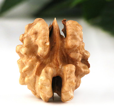 核桃仁