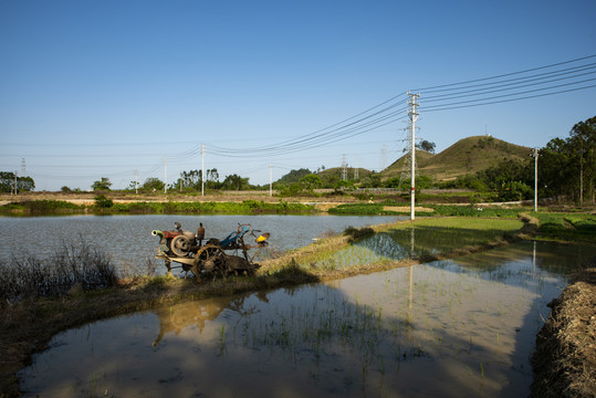 田园风光