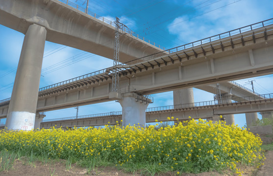 方向道路铁路高架桥