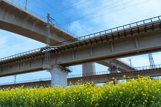 方向道路