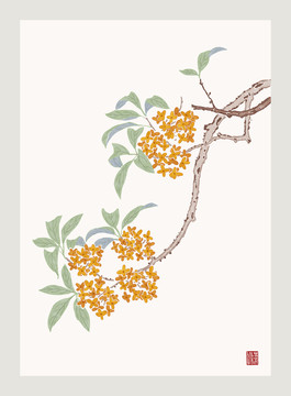 桂花