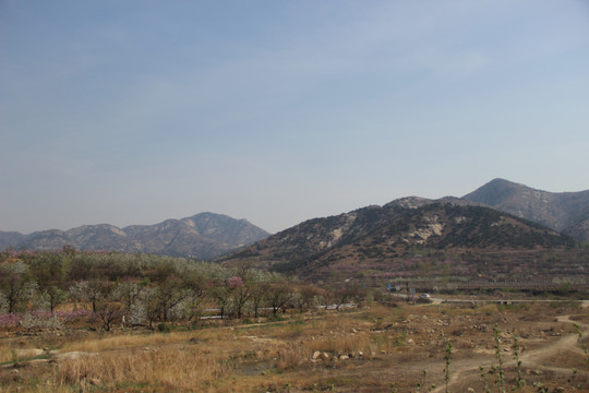 原野春山