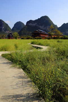 鹅泉风景