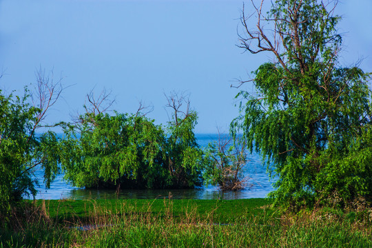 云南滇池湿地