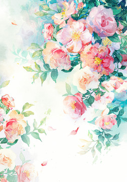 薔薇