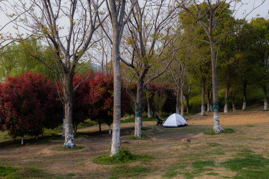 露宿帐篷