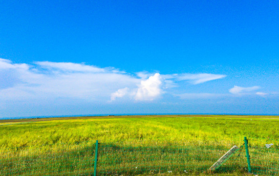 青海湖