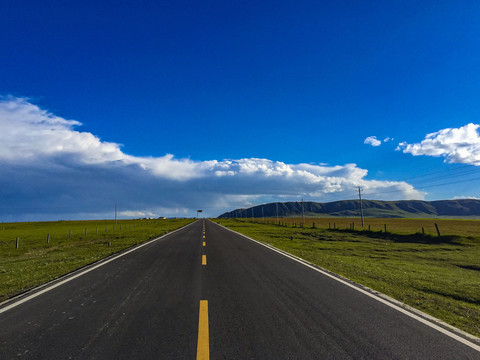 青海草原公路