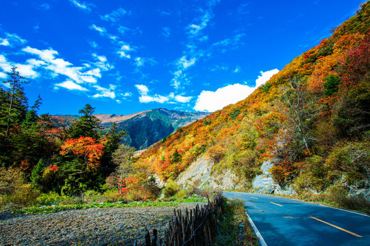 四川九寨沟秋景