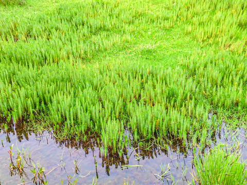 花湖风光