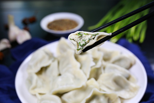 手工鲅鱼水饺海鲜饺子