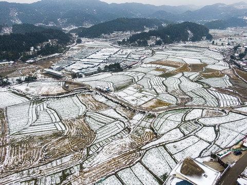 乡村田园农业种植农田雪景