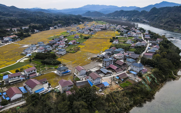 南方美丽乡村田园风光