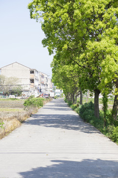 浙江乡镇小道