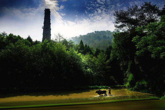 國清寺