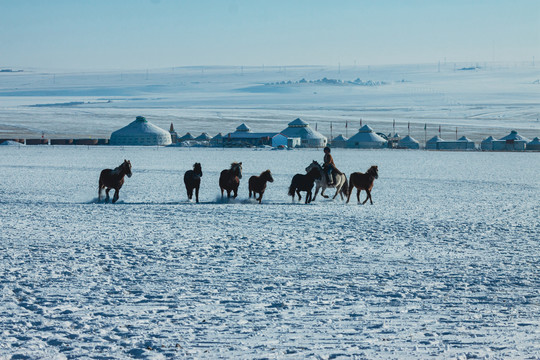冬季草原蒙古包骑马