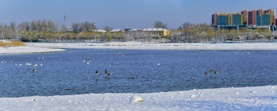 天鹅湖雪景