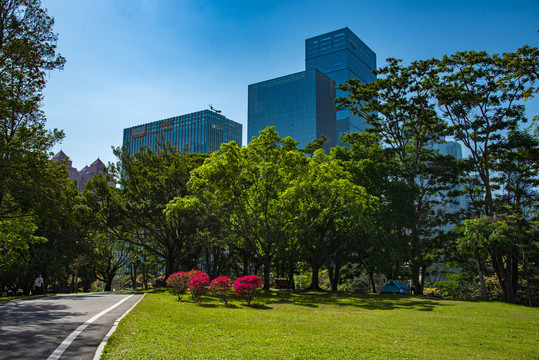 中心公园的风景