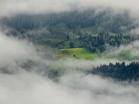 风景