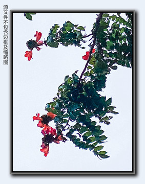 紅花綠葉裝飾畫