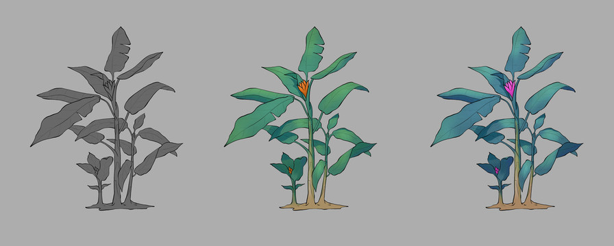 芭蕉樹(shù)