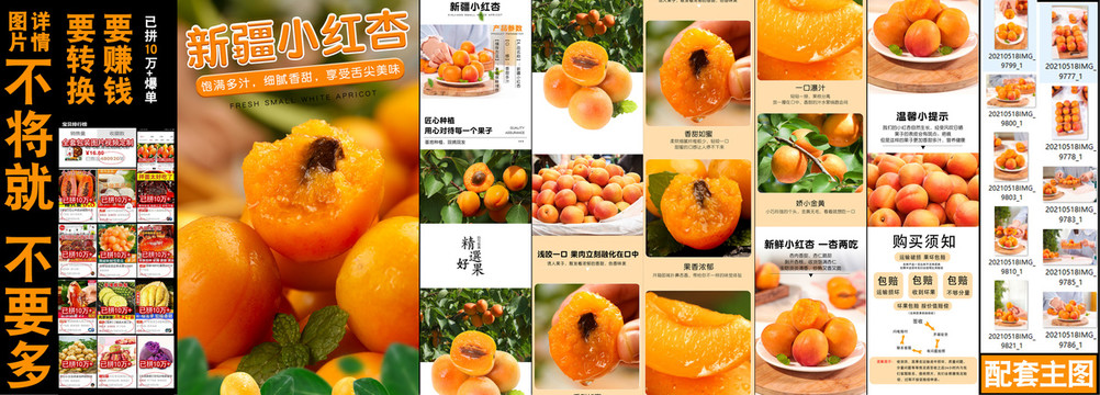 新疆小紅杏素材