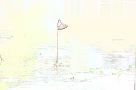 古風(fēng)殘荷