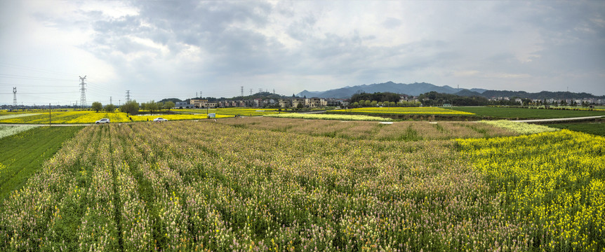 兰溪岩头村彩色油菜花航拍全景