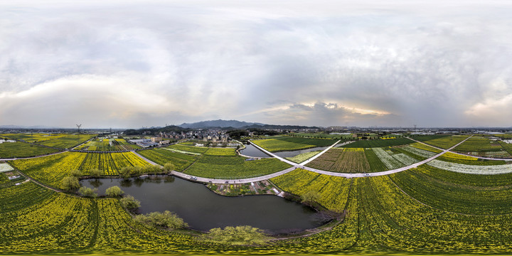 兰溪岩头村油菜花720全景