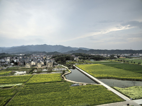 浙江兰溪岩头村油菜花田航拍