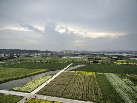 浙江兰溪岩头村油菜花田航拍