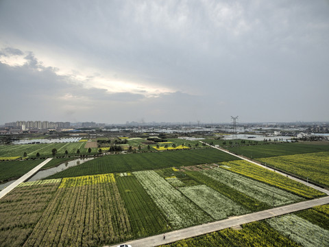 浙江兰溪岩头村油菜花田航拍