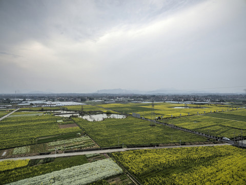 浙江兰溪岩头村油菜花田航拍