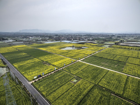 浙江兰溪岩头村油菜花田航拍