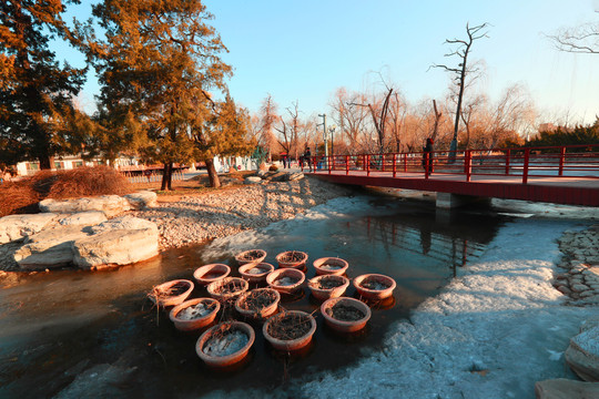 北京国际雕塑公园