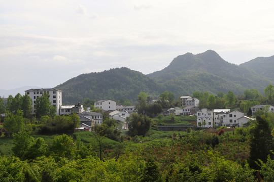 县河明家湾村庄