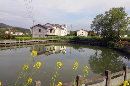 县河明家湾水塘