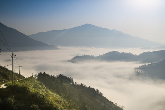 阳光在岸