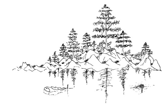 手繪速寫(xiě)樹(shù)林風(fēng)景畫(huà)